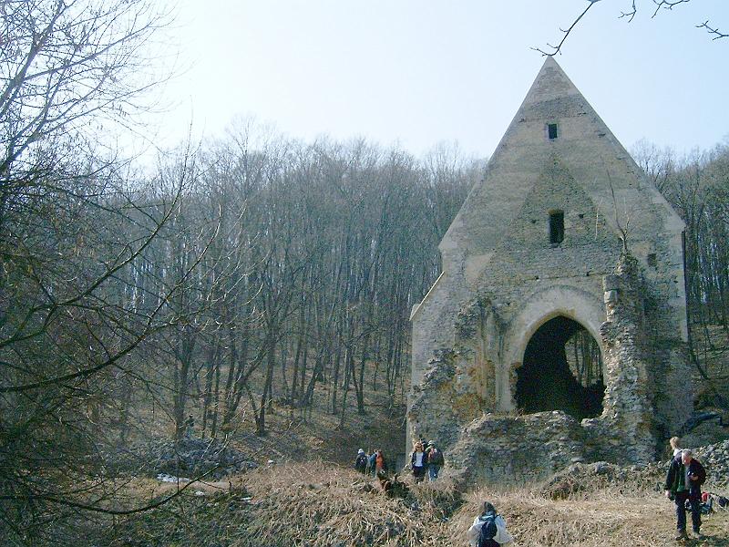 20110312 027.jpg